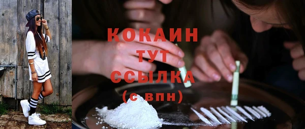 меф Мегион