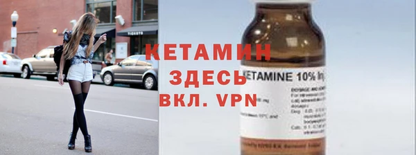 сатива Каменка