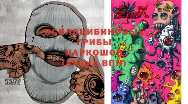 амф Карпинск