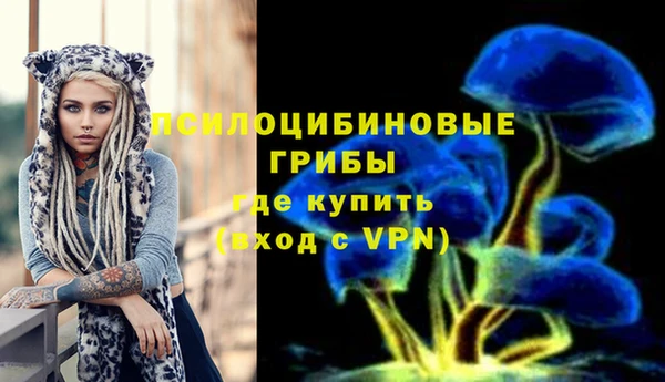прущий лед Кодинск