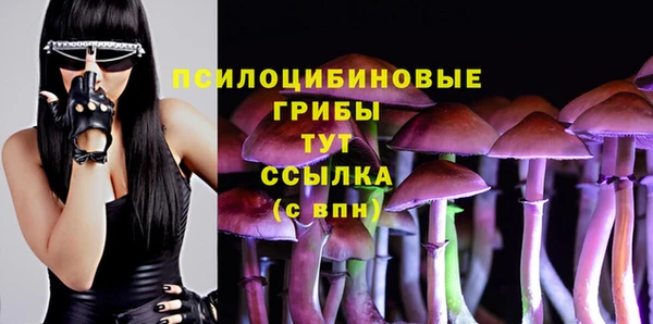 амф Карпинск