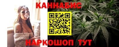 прущие грибы Камышлов
